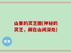 山里的灵芝图(神秘的灵芝，藏在山间深处)