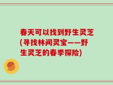 春天可以找到野生灵芝(寻找林间灵宝——野生灵芝的春季探险)