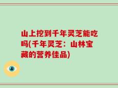 山上挖到千年灵芝能吃吗(千年灵芝：山林宝藏的营养佳品)