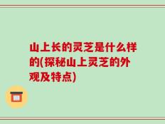 山上长的灵芝是什么样的(探秘山上灵芝的外观及特点)