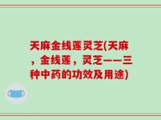 天麻金线莲灵芝(天麻，金线莲，灵芝——三种中药的功效及用途)