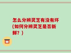 怎么分辨灵芝有没有坏(如何分辨灵芝是否新鲜？)