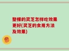 整棵的灵芝怎样吃效果更好(灵芝的食用方法及效果)
