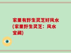 家里有野生灵芝好风水(家里野生灵芝：风水宝藏)