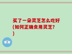 买了一朵灵芝怎么吃好(如何正确食用灵芝？)