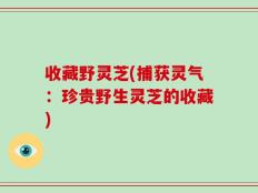 收藏野灵芝(捕获灵气：珍贵野生灵芝的收藏)