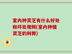 室内种灵芝有什么好处和坏处视频(室内种植灵芝的利弊)