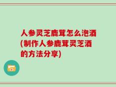 人参灵芝鹿茸怎么泡酒(制作人参鹿茸灵芝酒的方法分享)