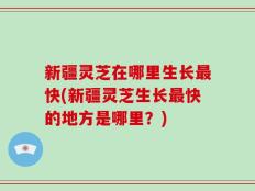 新疆灵芝在哪里生长最快(新疆灵芝生长最快的地方是哪里？)