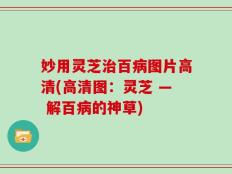 妙用灵芝治百病图片高清(高清图：灵芝 — 解百病的神草)