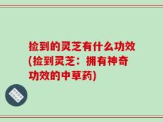 捡到的灵芝有什么功效(捡到灵芝：拥有神奇功效的中草药)