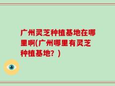 广州灵芝种植基地在哪里啊(广州哪里有灵芝种植基地？)