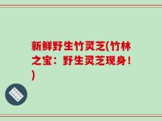新鲜野生竹灵芝(竹林之宝：野生灵芝现身！)