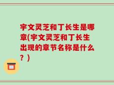 宇文灵芝和丁长生是哪章(宇文灵芝和丁长生出现的章节名称是什么？)