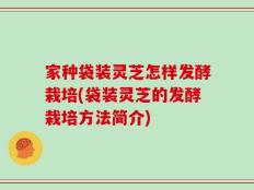 家种袋装灵芝怎样发酵栽培(袋装灵芝的发酵栽培方法简介)