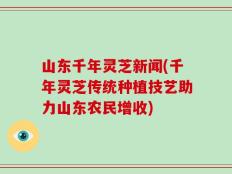 山东千年灵芝新闻(千年灵芝传统种植技艺助力山东农民增收)