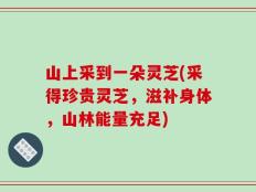 山上采到一朵灵芝(采得珍贵灵芝，滋补身体，山林能量充足)