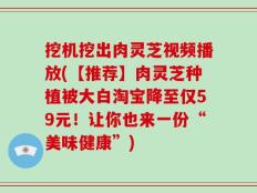 挖机挖出肉灵芝视频播放(【推荐】肉灵芝种植被大白淘宝降至仅59元！让你也来一份“美味健康”)