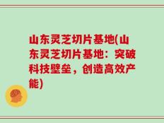 山东灵芝切片基地(山东灵芝切片基地：突破科技壁垒，创造高效产能)