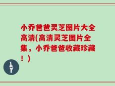 小乔爸爸灵芝图片大全高清(高清灵芝图片全集，小乔爸爸收藏珍藏！)