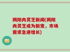 揭阳肉灵芝新闻(揭阳肉灵芝成为新宠，市场需求急速增长)