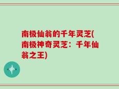 南极仙翁的千年灵芝(南极神奇灵芝：千年仙翁之王)
