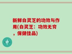 新鲜白灵芝的功效与作用(白灵芝：功效无穷，保健佳品)