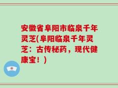 安徽省阜阳市临泉千年灵芝(阜阳临泉千年灵芝：古传秘药，现代健康宝！)