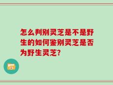 怎么判别灵芝是不是野生的如何鉴别灵芝是否为野生灵芝？