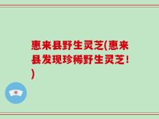 惠来县野生灵芝(惠来县发现珍稀野生灵芝！)