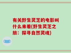 有关野生灵芝的电影叫什么来着(野生灵芝之旅：探寻自然灵魂)