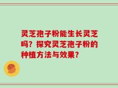 灵芝孢子粉能生长灵芝吗？探究灵芝孢子粉的种植方法与效果？