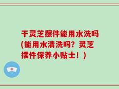 干灵芝摆件能用水洗吗(能用水清洗吗？灵芝摆件保养小贴士！)
