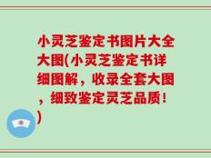 小灵芝鉴定书图片大全大图(小灵芝鉴定书详细图解，收录全套大图，细致鉴定灵芝品质！)