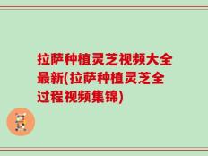 拉萨种植灵芝视频大全最新(拉萨种植灵芝全过程视频集锦)