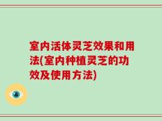 室内活体灵芝效果和用法(室内种植灵芝的功效及使用方法)