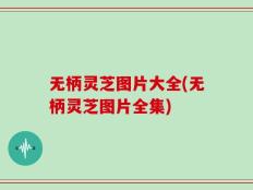 无柄灵芝图片大全(无柄灵芝图片全集)