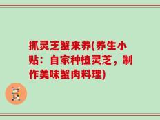 抓灵芝蟹来养(养生小贴：自家种植灵芝，制作美味蟹肉料理)