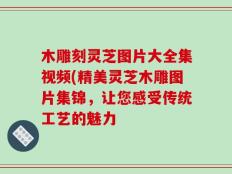 木雕刻灵芝图片大全集视频(精美灵芝木雕图片集锦，让您感受传统工艺的魅力