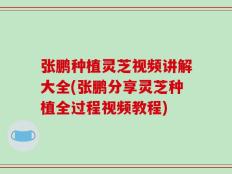 张鹏种植灵芝视频讲解大全(张鹏分享灵芝种植全过程视频教程)