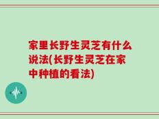 家里长野生灵芝有什么说法(长野生灵芝在家中种植的看法)