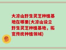 大凉山野生灵芝种植基地在哪里(大凉山设立野生灵芝种植基地，拓宽传统种植领域)