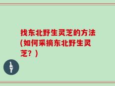 找东北野生灵芝的方法(如何采摘东北野生灵芝？)