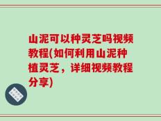 山泥可以种灵芝吗视频教程(如何利用山泥种植灵芝，详细视频教程分享)