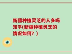 新疆种植灵芝的人多吗知乎(新疆种植灵芝的情况如何？)