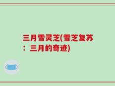 三月雪灵芝(雪芝复苏：三月的奇迹)