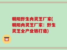 朝阳野生肉灵芝厂家(朝阳肉灵芝厂家：野生灵芝全产业链打造)