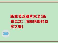 新生灵芝图片大全(新生灵芝：清新脱俗的自然之美)