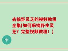 去摘野灵芝的视频教程全集(如何采摘野生灵芝？完整视频教程！)