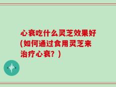 心衰吃什么灵芝效果好(如何通过食用灵芝来治疗心衰？)